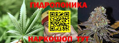 каннабис Будённовск