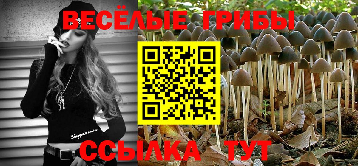 Псилоцибиновые грибы Psilocybe Урай